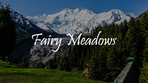 Fairy Meadows